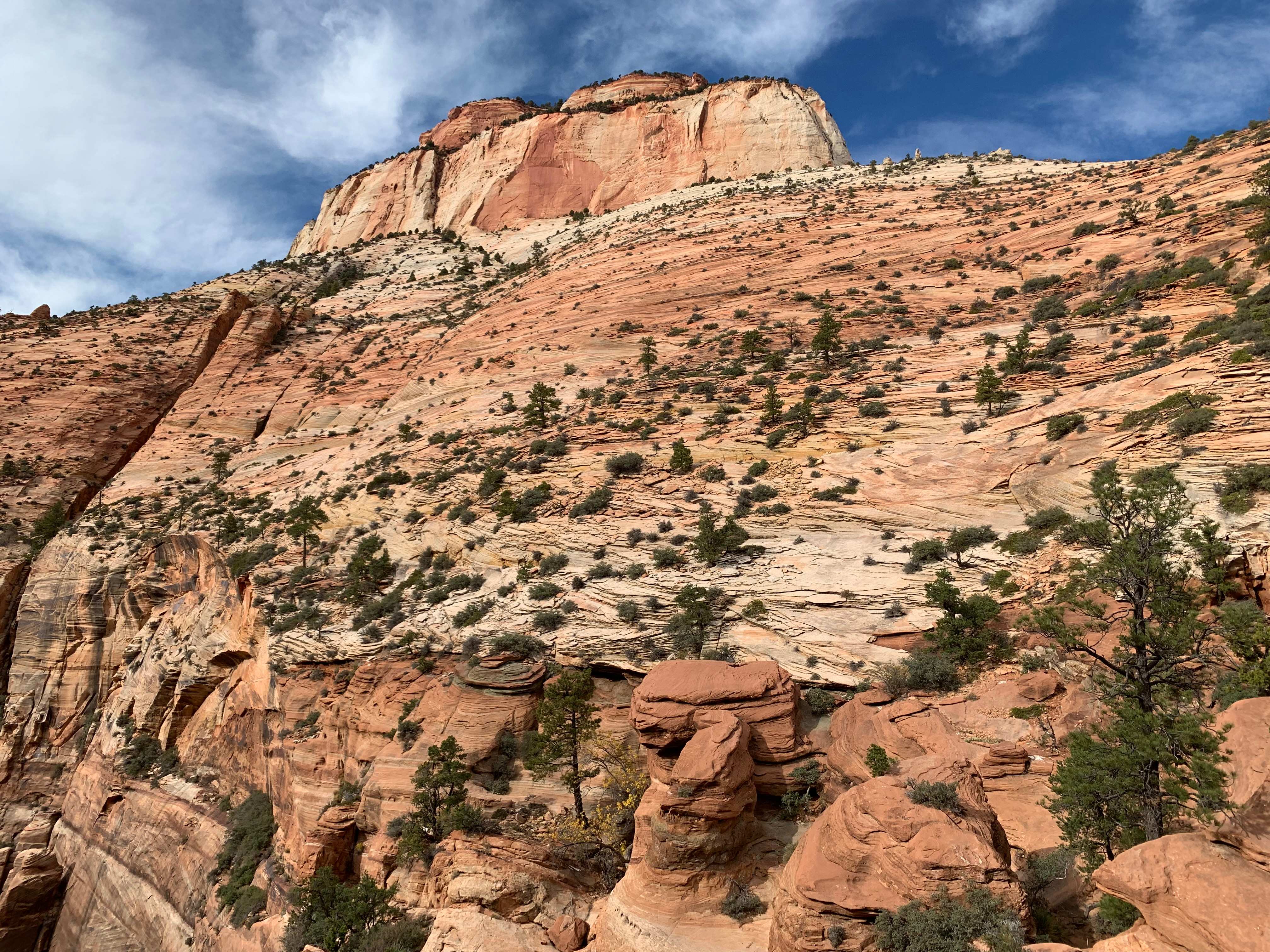 Zion NP